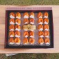 실속 선물용 반건시 30구 (개당 50g 이내)
