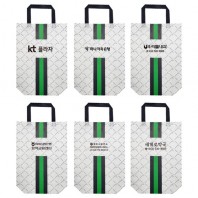 [30x38x10] 패턴 코팅 부직포가방/세로형