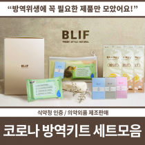 방역키트 종합세트모음 / 쨍하고해뜰날황사방역마스크(KF94)(대형)(흰색)