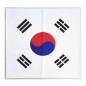 큰태극기손수건 / 스포츠 응원기